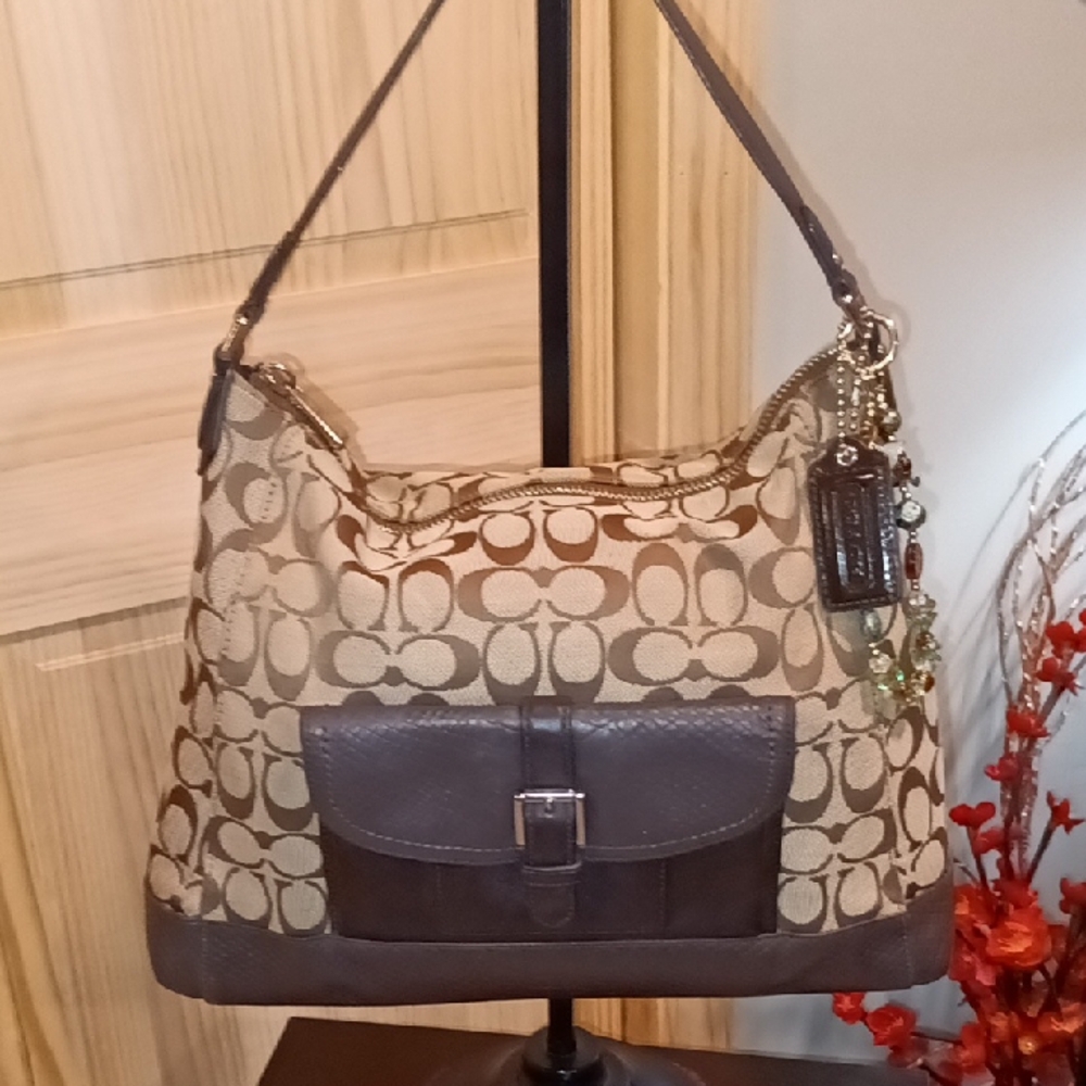Vintage Coach Charlie Sig Python Hobo Bag Purse Brown F32081